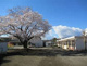 秦野市立西幼稚園の画像
