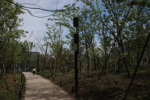 公園 市谷の杜