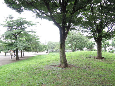 荒川区立　日暮里南公園の画像4