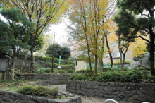 新宿区立仲之公園