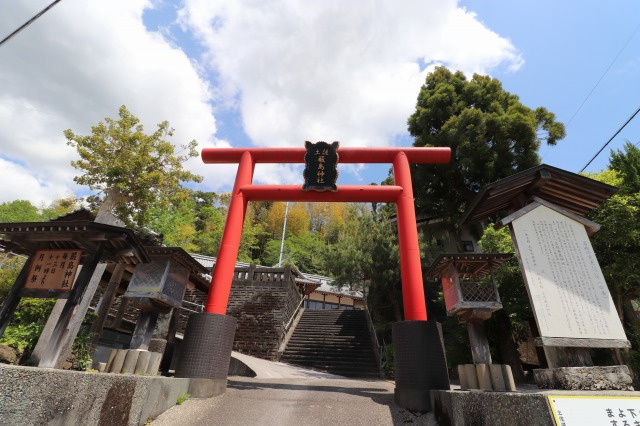 の画像