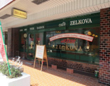 cafe・ZELKOVA