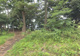 丸山公園の画像