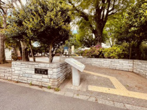 弥生公園