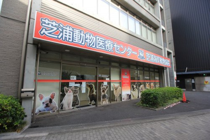 動物病院の画像1