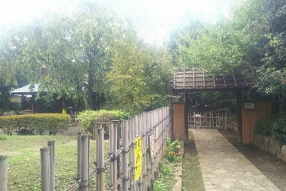 新宿区立藤兵衛公園の画像1