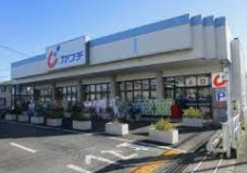 カワチ薬品 中川店の画像1