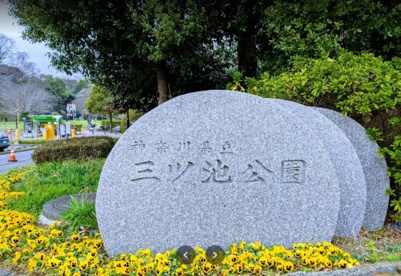 神奈川県立三ツ池公園の画像1