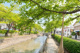 曳舟川親水公園の画像