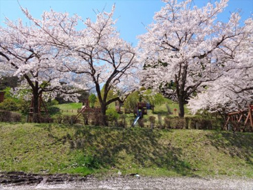 桜山公園の画像2