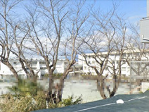 藤沢市立大越小学校