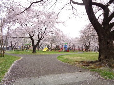 小坂中央公園の画像2