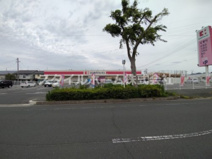 ココカラファイン 江島店