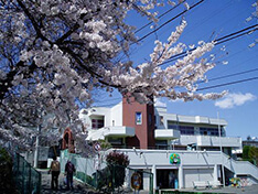 みどり幼稚園（横浜市戸塚区）の画像1