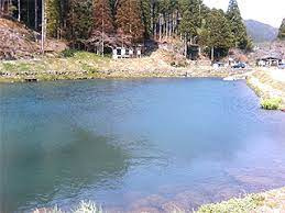 魚の里杉島の画像1
