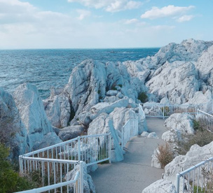 白崎海洋公園の画像1