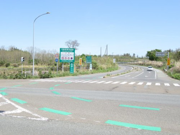 八竜I.Cの画像1