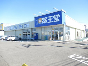 薬王堂寺向店の画像1