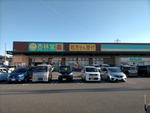杏林堂ドラッグストア 静岡小鹿店