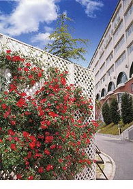 神戸星城高等学校の画像1