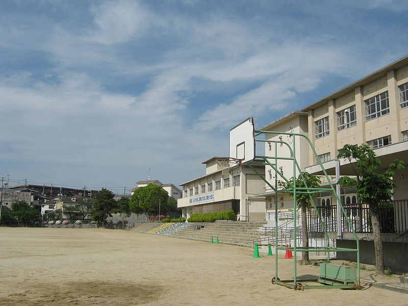 の画像