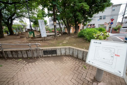 板橋区立向原公園の画像2