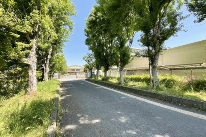 京田辺市立田辺東小学校の画像1