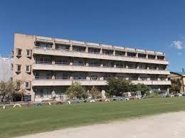 天美北小学校の画像1