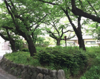 徳川街園の画像1