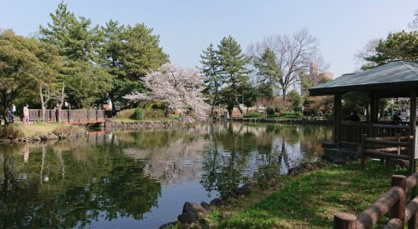 志賀公園の画像1