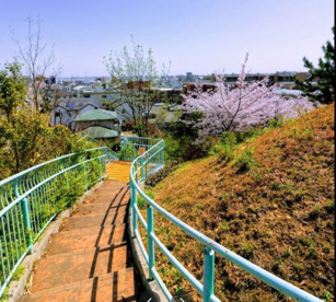 稲葉山公園の画像1