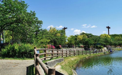 名古屋市新海池公園の画像1