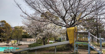上朝日出公園の画像1