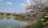 螺貝公園
