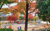 姥子山中央公園