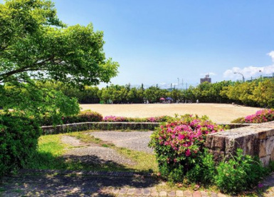 通曲公園の画像1