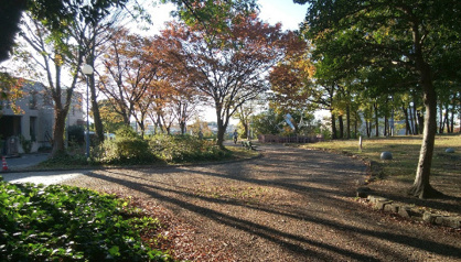 本郷公園の画像1