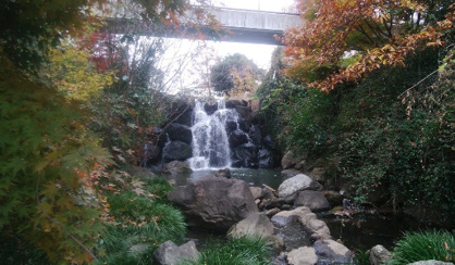 城土公園の画像1