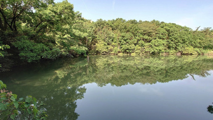 八竜緑地の画像1