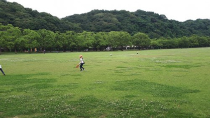山田緑地の画像1