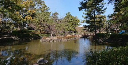 中村公園の画像1