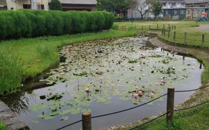 惟信第一公園の画像1