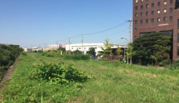 日光川街園の画像1