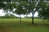 公園 稲永東公園