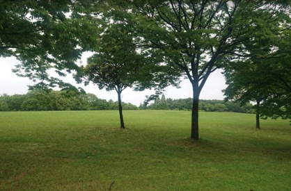稲永東公園の画像1