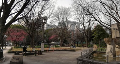 下園公園の画像1