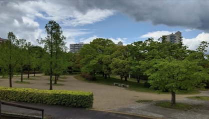 白鳥公園の画像1