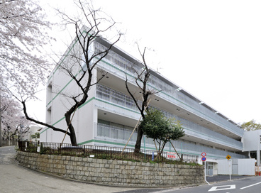 第三日野小学校の画像1