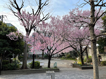 新宿区立中落合公園の画像1