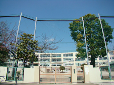 荻窪中学校の画像1